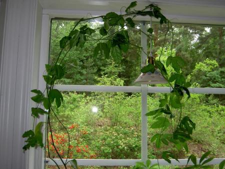 gallery_1251_261_37189.jpg