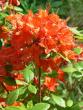 tn_gallery_1323_689_22137.jpg