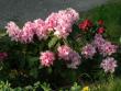 tn_gallery_1323_689_4558.jpg