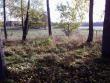 tn_gallery_7459_711_54366.jpg