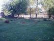 tn_gallery_7459_711_66539.jpg