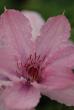 tn_gallery_1090_695_27342.jpg