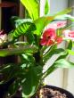 tn_gallery_2821_724_193942.jpg