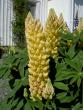 tn_gallery_3363_677_44569.jpg
