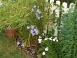 tn_gallery_941_137_255272.jpg