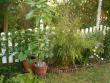 tn_gallery_941_137_33927.jpg
