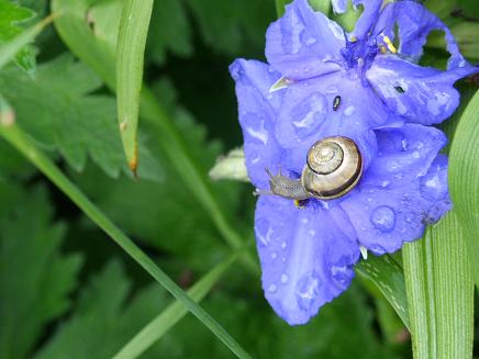 gallery_5307_38_57138.jpg