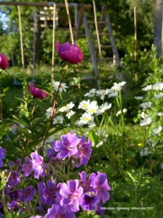 gallery_4563_727_144520.jpg