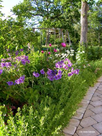 gallery_4563_727_239405.jpg