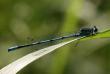 tn_gallery_4816_75_22312.jpg