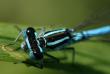 tn_gallery_4816_75_5281.jpg