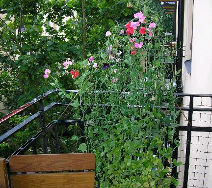 gallery_1158_728_21736.jpg