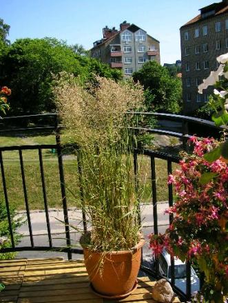 gallery_1158_728_30043.jpg