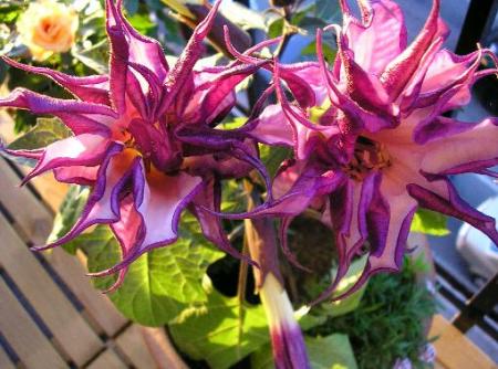 gallery_1158_728_37049.jpg