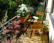 tn_gallery_1158_728_20438.jpg