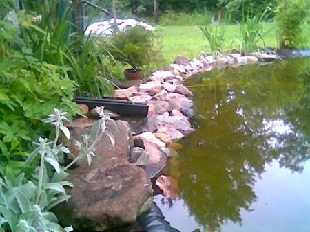 gallery_10965_735_36264.jpg