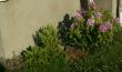 tn_gallery_3388_651_5092.jpg