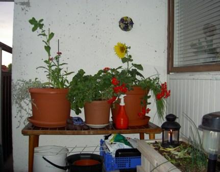 gallery_4761_126_24907.jpg