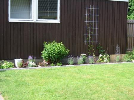 gallery_7469_747_139661.jpg