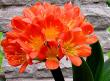 tn_gallery_6592_743_203420.jpg