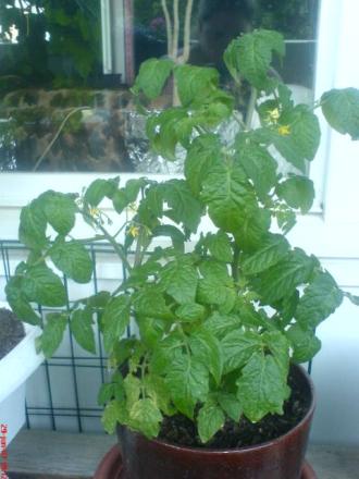 gallery_10811_628_40647.jpeg