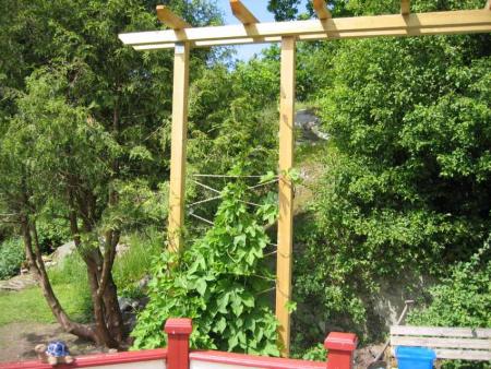 gallery_10934_23_11786.jpg