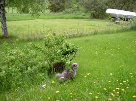 gallery_9134_758_2698.jpg