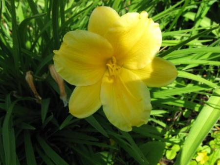 gallery_10539_40_33251.jpg