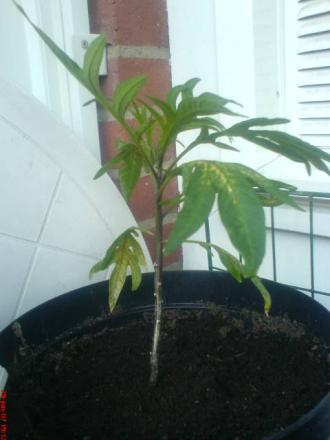 gallery_10811_722_5678.jpeg