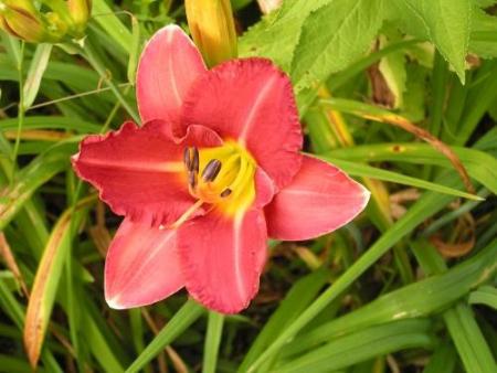 gallery_6380_757_31386.jpg