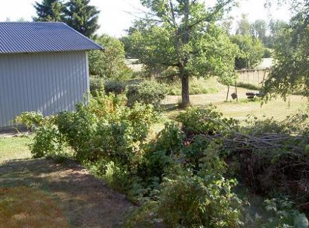 gallery_9134_758_511.jpg
