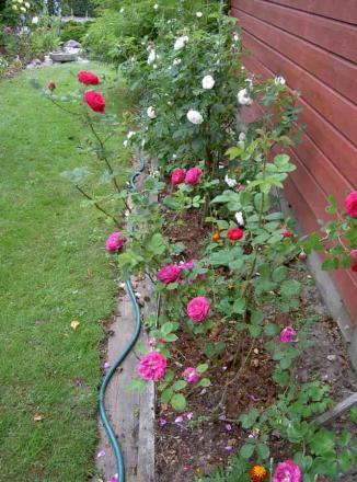 gallery_834_761_47291.jpg