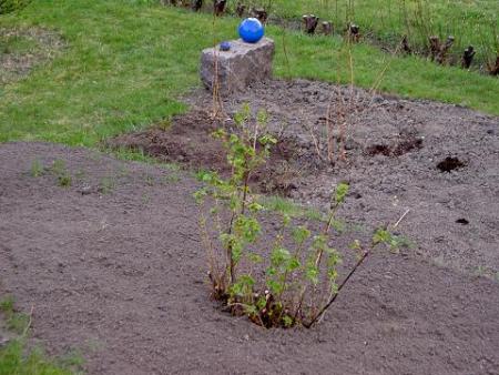 gallery_9134_758_57008.jpg