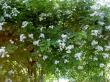 tn_gallery_834_761_1432.jpg