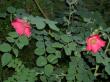 tn_gallery_834_761_4.jpg