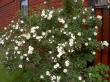 tn_gallery_834_761_41872.jpg