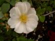 tn_gallery_834_761_18794.jpg