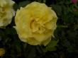 tn_gallery_834_761_6454.jpg