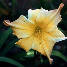 gallery_6380_757_4290.jpg