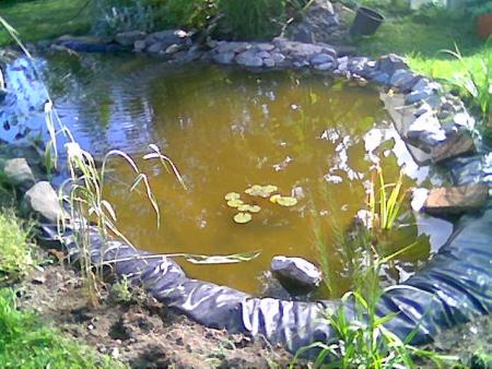 gallery_10965_735_27436.jpg