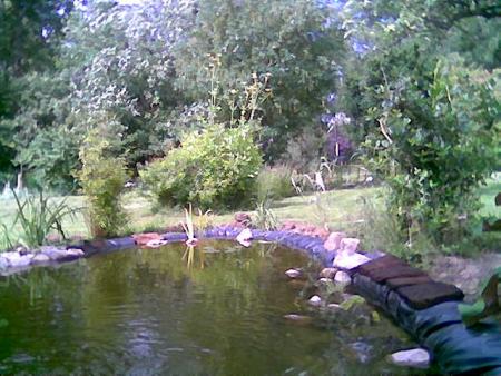 gallery_10965_735_44035.jpg