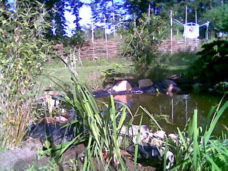 gallery_10965_735_46525.jpg