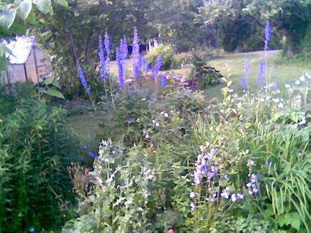 gallery_10965_736_14839.jpg