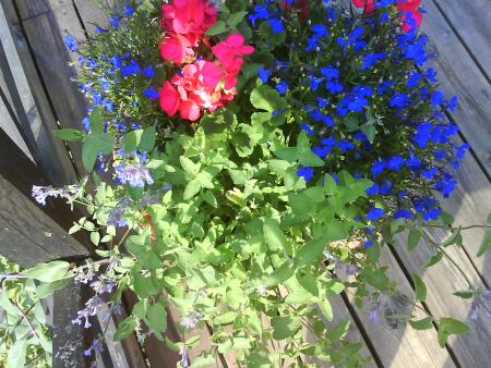gallery_10996_706_203630.jpg