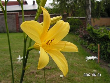 gallery_1786_40_2673.jpg