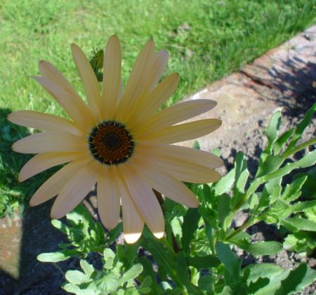 gallery_9983_597_252916.jpg