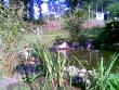 tn_gallery_10965_735_46525.jpg