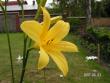 tn_gallery_1786_40_2673.jpg