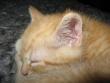 tn_gallery_4113_128_16387.jpg