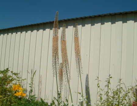 gallery_7440_639_39951.jpg
